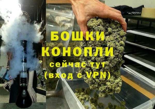 прущие грибы Балабаново