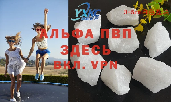 прущие грибы Балабаново