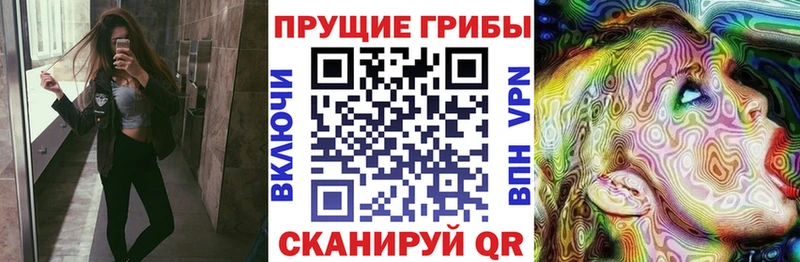 Купить закладки  Грайворон  Галлюциногенные грибы прущие грибы 